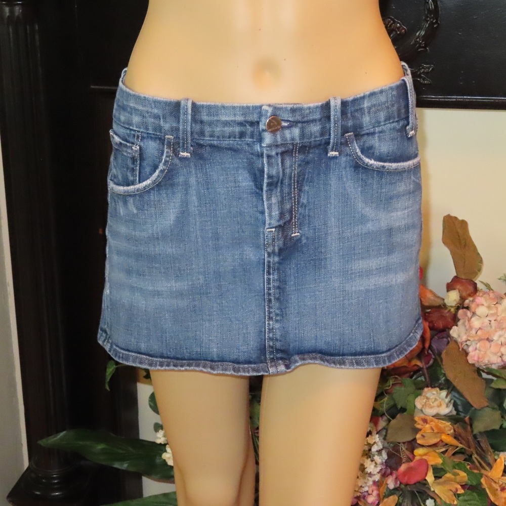 Citizens of Humanity skirt